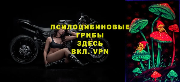 скорость Заволжье
