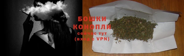 метадон Заводоуковск
