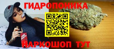 a pvp Берёзовский