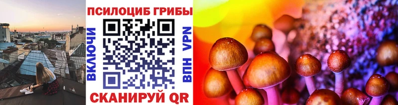 Псилоцибиновые грибы ЛСД  как найти наркотики  Канск 