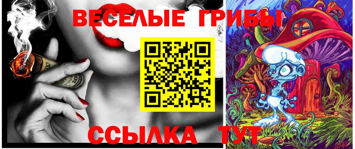 Псилоцибиновые грибы Cubensis Канск