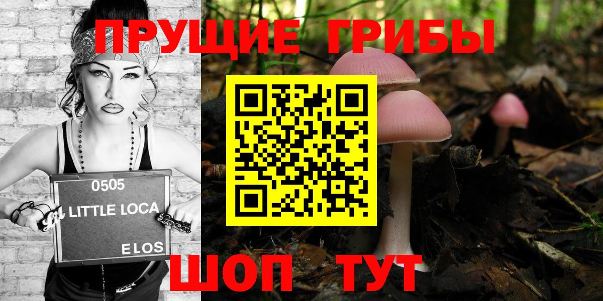 Канск  Галлюциногенные грибы мицелий  Вход с VPN 