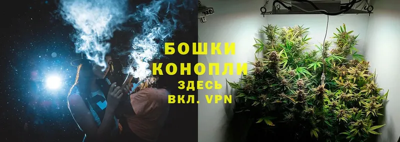 купить наркотики цена  Канск  Каннабис OG Kush 