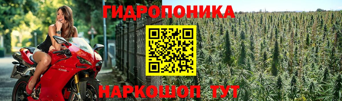 Каннабис тримм  Вход с VPN  Марихуана план  Канабис гибрид  Канск 